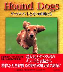 Hound Dogs  ダックスフンドとその仲間たち